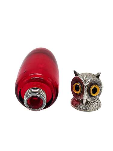 Novelty scent bottle with owls head cap